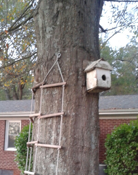 birdhouse